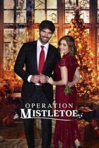 Операция "Омела"