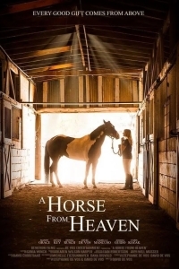 Небесный конь / Сердце чемпиона