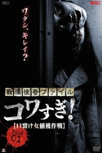 Ужасающие материалы, файл 1: Операция по поимке женщины с разрезанным ртом