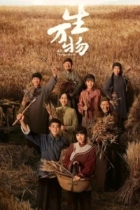 Процветающая земля / Эта процветающая земля