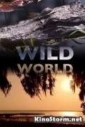 Мир Дикой Природы