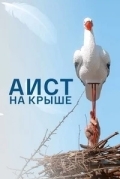 Аист на крыше