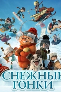 Снежные гонки