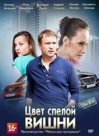 Цвет спелой вишни