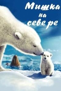 Мишка на Севере