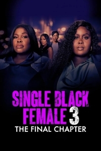 Одинокая темнокожая женщина: Последняя глава