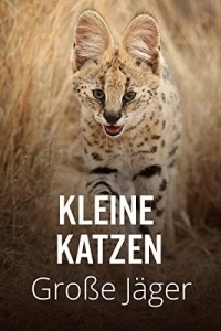 Дикие маленькие кошки