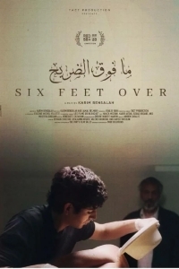 6 ног на земле