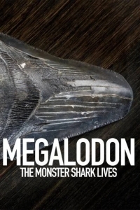 Акула-монстр: Мегалодон жив